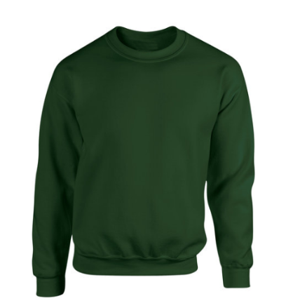 Correctional Sweatshirt crewneck colour forest green