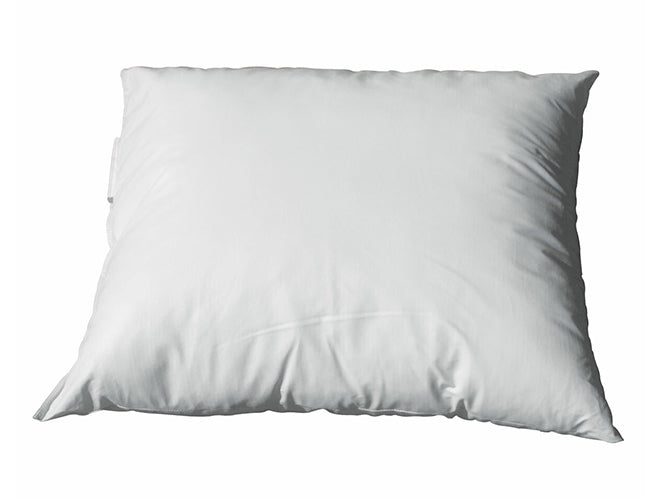 Zoom Image of infirmary pillow